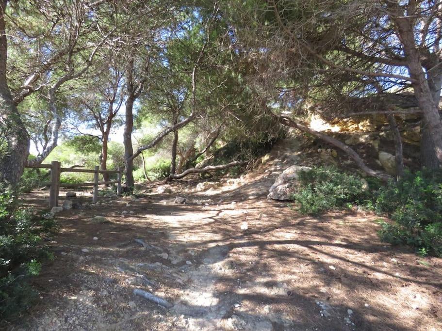 Coqueto Alojamiento Con Banera De Hidromasaje Leilighet Tarragona Eksteriør bilde